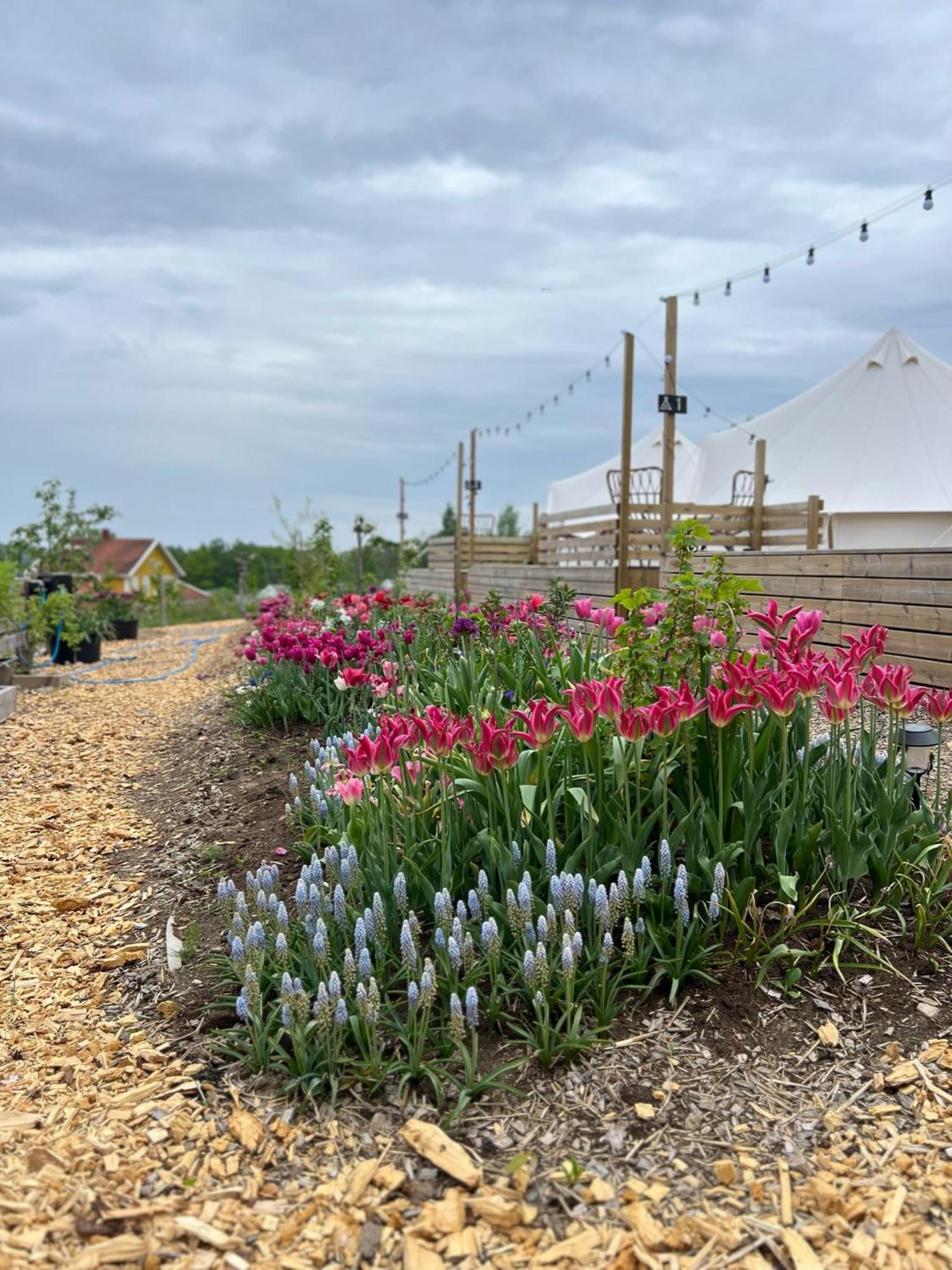 Vaettervy Glamping Ξενοδοχείο Habo Εξωτερικό φωτογραφία