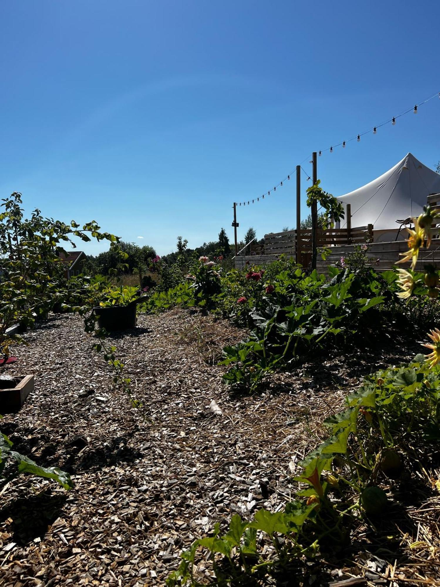 Vaettervy Glamping Ξενοδοχείο Habo Εξωτερικό φωτογραφία