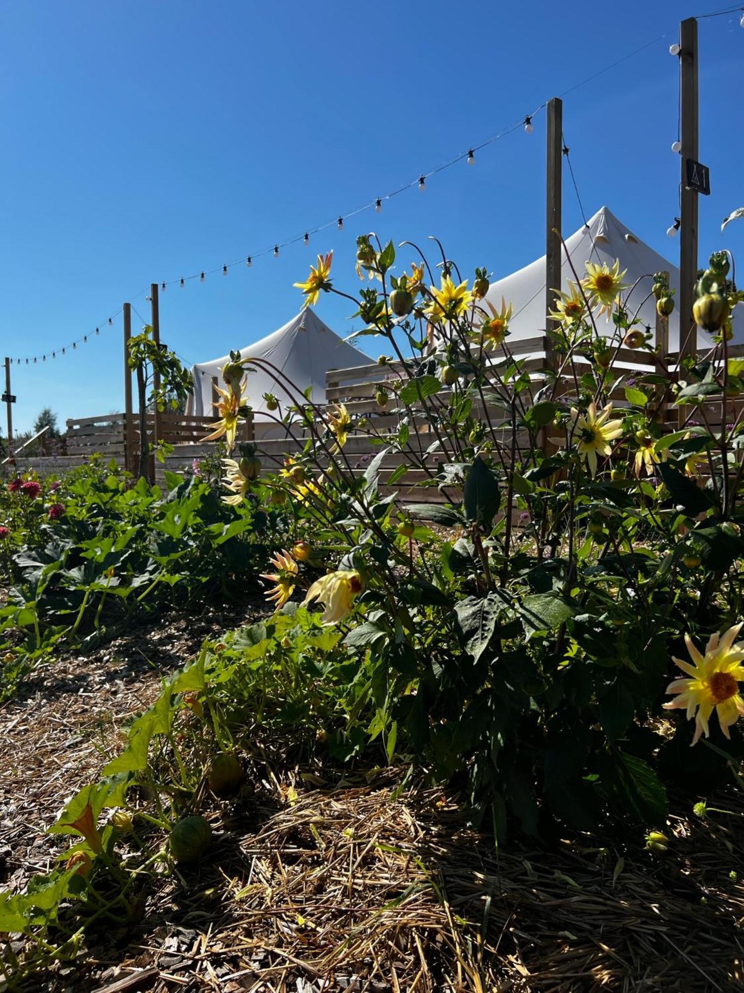 Vaettervy Glamping Ξενοδοχείο Habo Εξωτερικό φωτογραφία