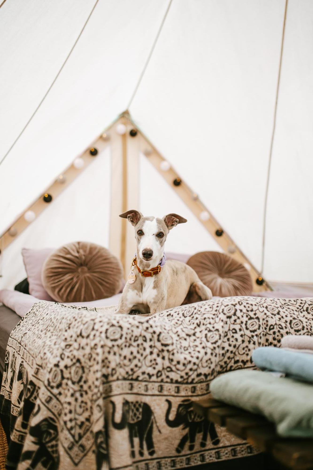 Vaettervy Glamping Ξενοδοχείο Habo Εξωτερικό φωτογραφία